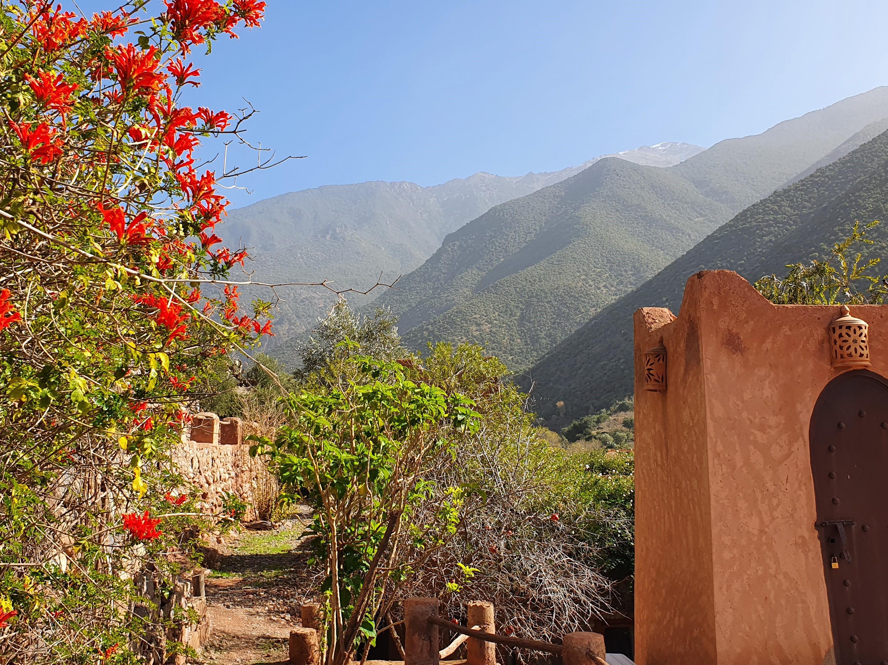 Bed and Breakfast Kasbah Africa Уїрґан Екстер'єр фото