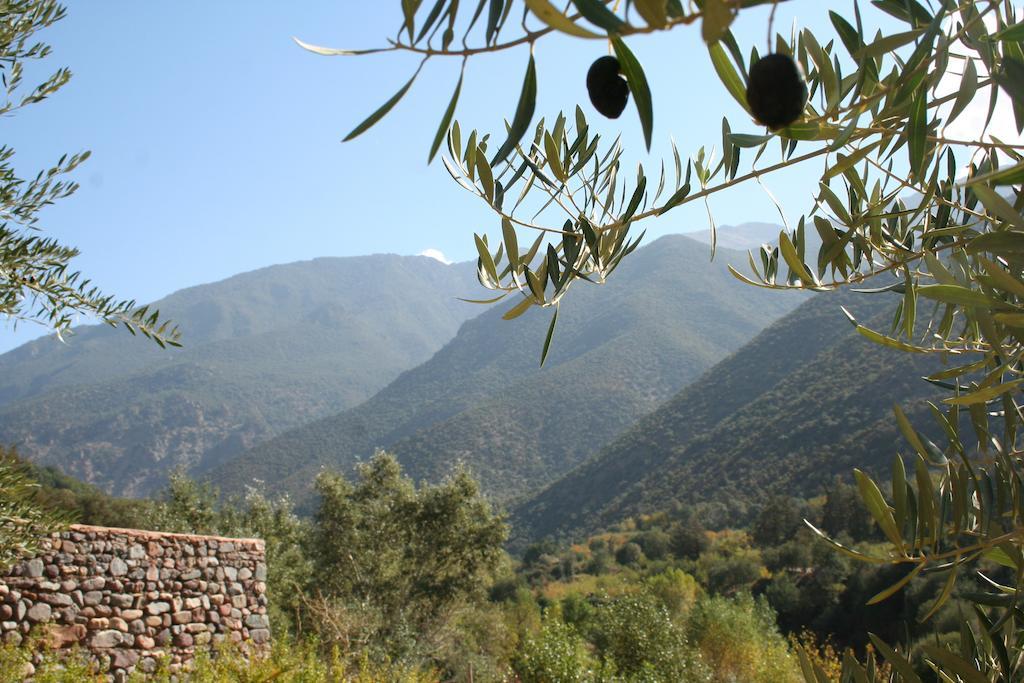 Bed and Breakfast Kasbah Africa Уїрґан Екстер'єр фото